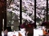 桐の間02